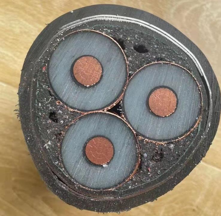 金聯(lián)宇架空絕緣電纜的使用要求和特點是多少 金聯(lián)宇架空絕緣電纜的使用要求和特點是多少